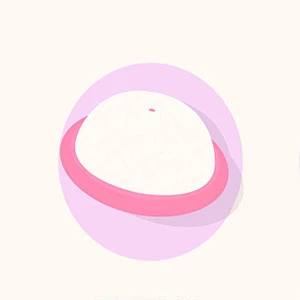 Diaphragma